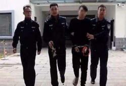 西湖执法学生爆料案件最新,最新案件细节曝光，真相令人震惊