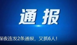最新唐山爆料新闻,事件真相及后续进展全解析