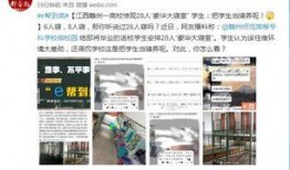 赣州市爆料网最新消息,聚焦赣州市热点事件，揭秘背后真相！