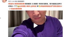 直播爆料杨迪最新,揭秘娱乐圈幕后故事
